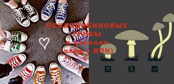 дурь Балахна