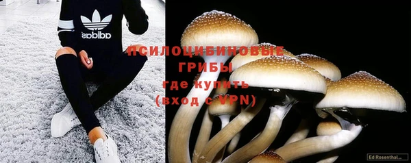 дурь Балахна