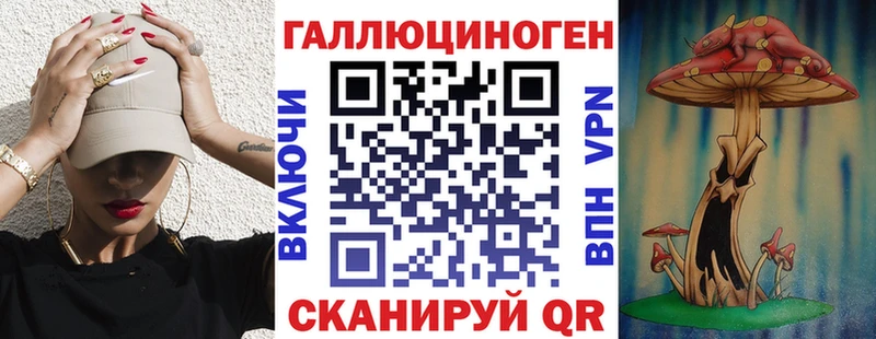 мега маркетплейс  купить  цена  Черногорск  Псилоцибиновые грибы GOLDEN TEACHER 